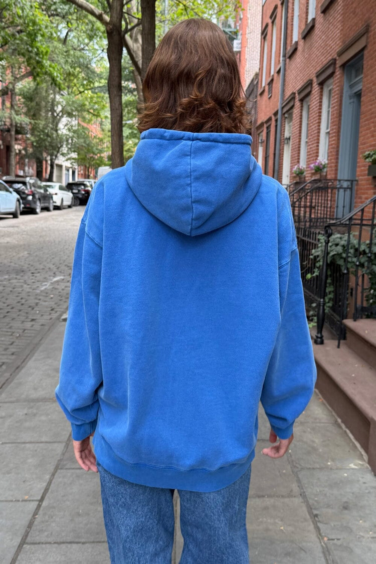 Brandy Melville Classic | Christy Hoodie