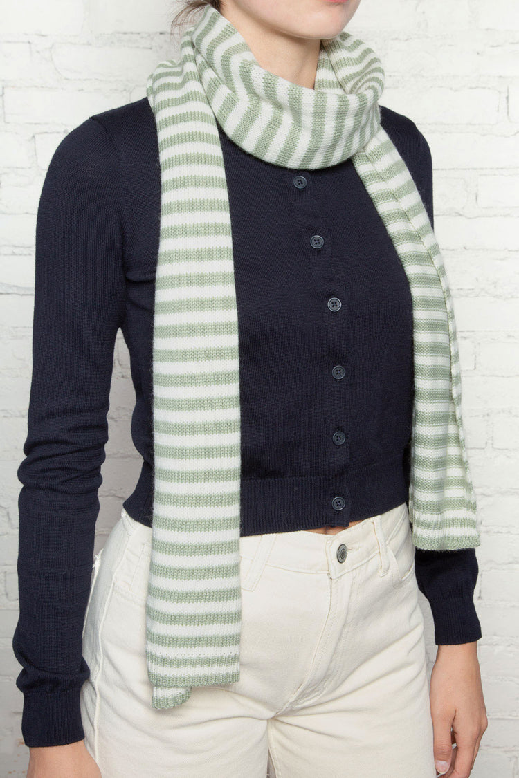 Brandy Melville New | Striped Scarf
