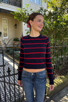 Navy Blue and Red Stripes