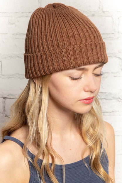 Brandy Melville Premium | Knit Beanie
