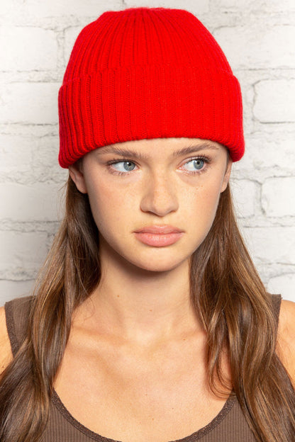 Brandy Melville Premium | Knit Beanie