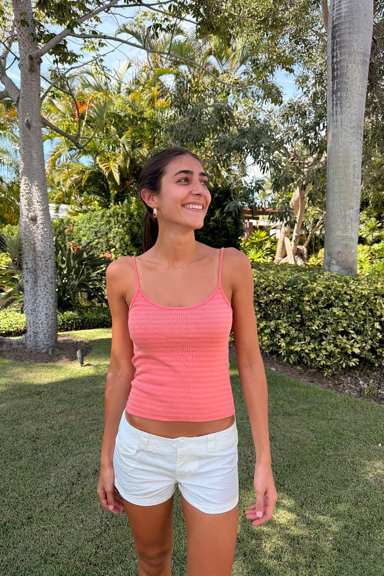 Brandy Melville Great Value | Skylar Striped Tank